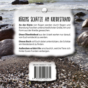 Rügens Schätze am Kreidestrand - Für kleine und große Fossiliensammler - Abbildung 1