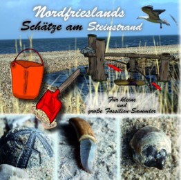 Nordfrieslands Schätze am Steinstrand - Cover