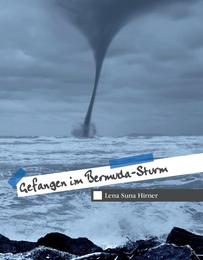Gefangen im Bermuda-Sturm