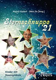Sternschnuppe 21