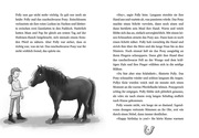 Die Hufeisen-Ranch - Ponyglück mit Hindernissen - Abbildung 1