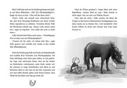 Die Hufeisen-Ranch - Ponyglück mit Hindernissen - Abbildung 6