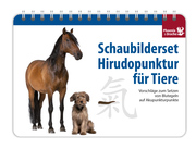 Schaubilderset Hirudopunktur für Tiere - Deutsche Ausgabe -> nur noch Schweizer Ausgabe lieferbar!