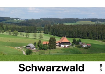 Schwarzwald 2018