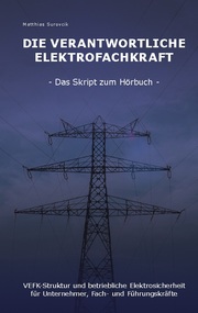 Die Verantwortliche Elektrofachkraft - Cover