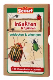 Scout Lernkarten-Box - Insekten & Spinnen