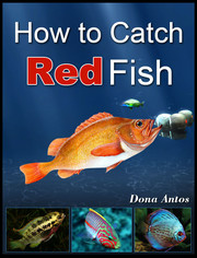How To Catch Redfish