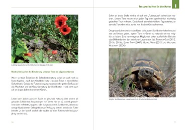 Der Schildkröten-Gärtner - Naturnahe Ernährung Europäischer Landschildkröten - Abbildung 1