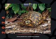 Schildkröten-Jahreskalender 2024
