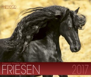 Friesen 2017 - Cover