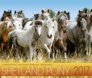 Shetland Pony 2017 - Cover