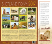 Shetland Pony 2017 - Abbildung 13