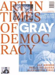 Art in Times of Gray Democracy