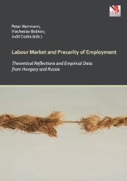 Labour Market and Precarity of Employment - Cover