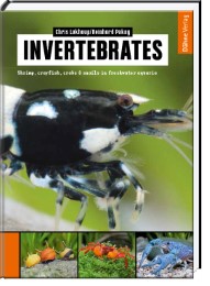 Invertebrates - Cover