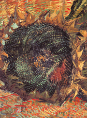 Van Goghs Ohr - Abbildung 2