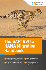 The SAP BW to HANA Migration Handbook