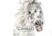 Best of Cavallo 2020