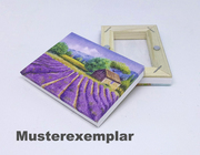 Miniaturgemälde auf Canvas mit Magnetrahmen - Cover