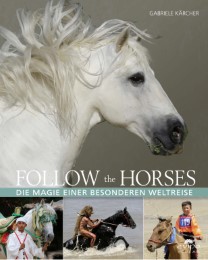 Follow the horses