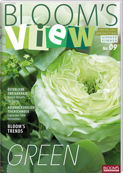 BLOOM's VIEW 1/2019
