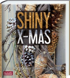 Shiny X-Mas - Cover