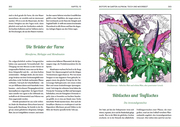 Von fiesen Schädlingen, duftenden Kräutern und üppigen Blumen - Abbildung 3
