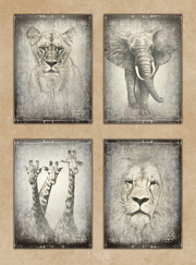 Poster-Set 'Kenia'