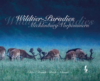 Wildtier-Paradies Mecklenburg-Vorpommern