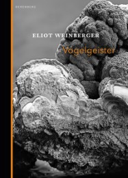 Vogelgeister - Cover