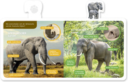 Der Elefant - Abbildung 2