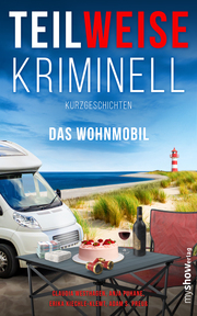 TEILWEISE KRIMINELL - Cover
