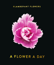 Flamboyant Flowers - Cover