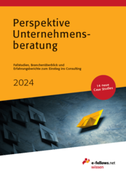 Perspektive Unternehmensberatung 2024 - Cover