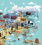 Die Welt der Tiere - Abbildung 2
