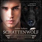 Schattenwolf, Episode 6 - Fantasy-Serie - Cover