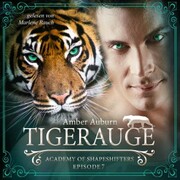 Tigerauge, Episode 7 - Fantasy-Serie - Cover