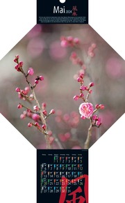 Feng-Shui-Kalender 2024 - Abbildung 5