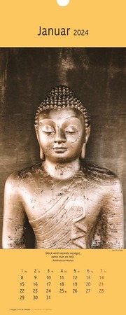 Buddhas 2024 - Abbildung 1