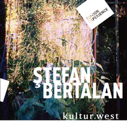 Stefan Bertalan. Visuelle Strukturen 1960-2000 - Cover