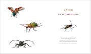 Unsere einzigartige Insektenwelt - Illustrationen 4