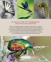 Unsere einzigartige Insektenwelt - Illustrationen 7