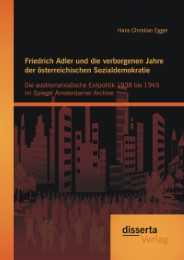 Friedrich Adler und die verborgenen Jahre der österreichischen Sozialdemokratie: - Cover