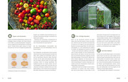Gemüse und Kräuter im Garten - Abbildung 6