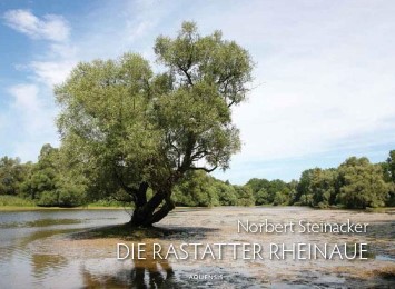 Die Rastatter Rheinaue