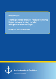 Strategic allocation of resources using linear programming model with parametric analysis: in MATLAB and Excel Solver