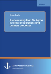 Success using lean Six Sigma in terms of operations and business processes