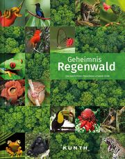 Geheimnis Regenwald - Cover