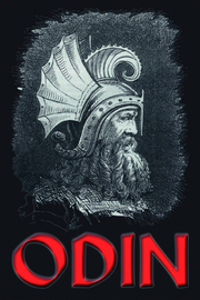 Blechschild 'Odin'