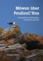 Möwen über PoullouC'Hou